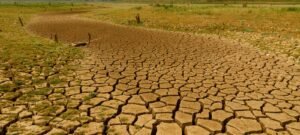 Leia mais sobre o artigo Nove municípios sergipanos decretam situação de emergência por seca ou estiagem