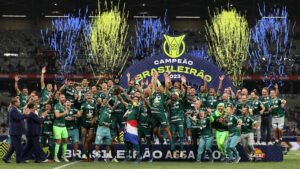 Leia mais sobre o artigo Palmeiras conquista o 12º Campeonato Brasileiro de sua história