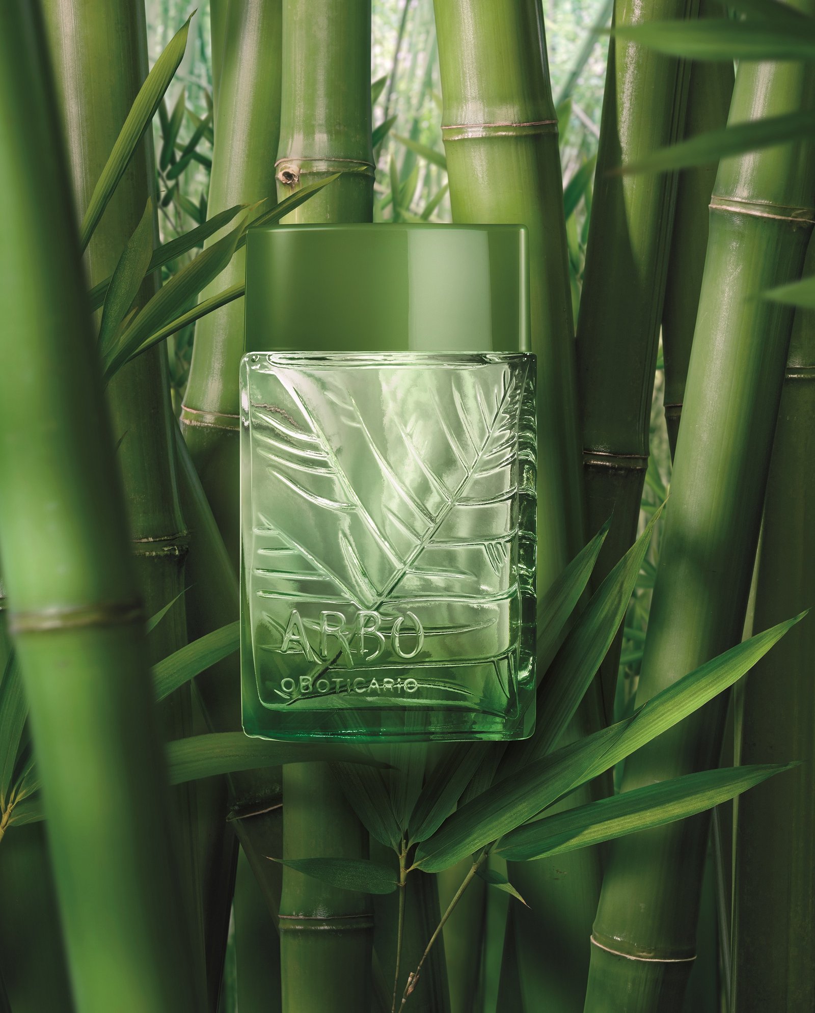 Leia mais sobre o artigo Nova faceta do frescor natural: Arbo Puro traz a harmonia de notas aromáticas, frescor e leveza do acorde bambu